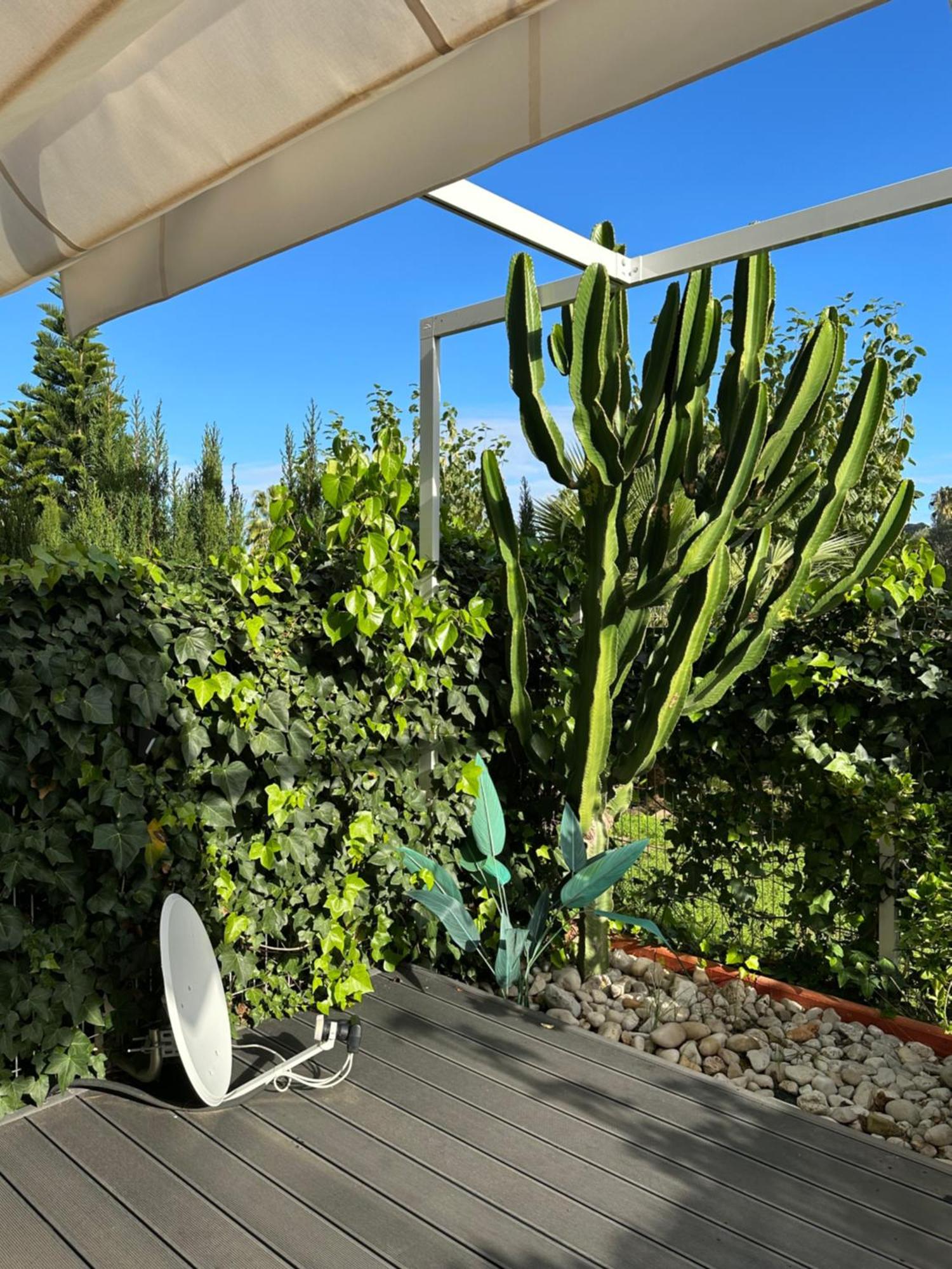 Apartamento Aquamar Dénia Exterior foto